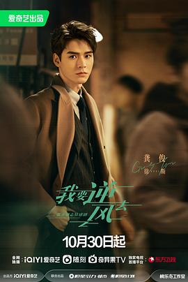 玉林网站优化有哪些案例